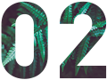 綠植免養(yǎng)護(hù)